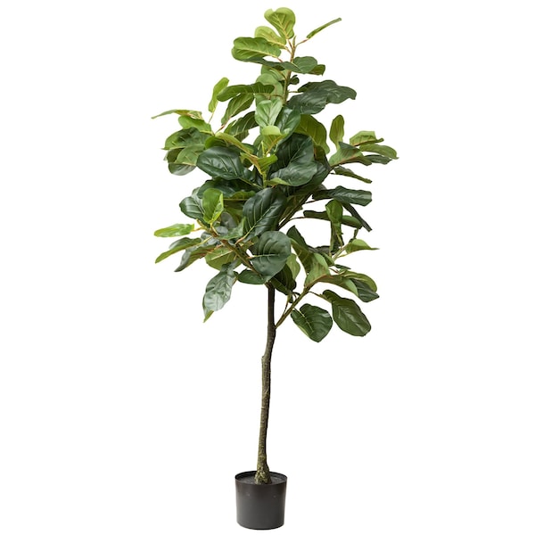 Forever Leaf Faux 5 ft. Fiddle Leaf Tree w/Pot FL01101 Zoro